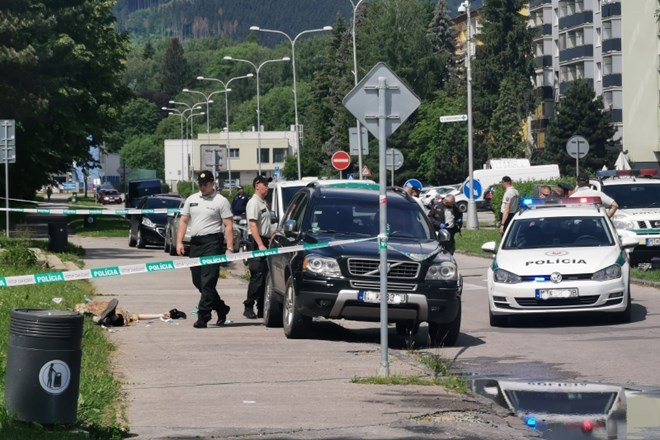 Policija je napadalca v slovaški osnovni šoli ubila.
