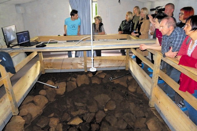 Ob turistični domačiji Zupančič v Jelševniku so uredili tudi opazovalni šotor, opremljen z infrardečimi kamerami. Je edini...