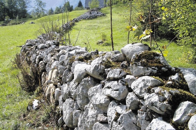 Gradnja s kamni iz okolice in brez veziva je del alpske kulturne krajine, čeprav se opušča. Svoje mesto so zidovi in škarpe...