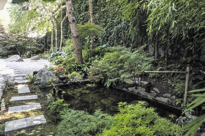 Vrt na Viču odraža okolja, v katerih sta živela njegova lastnika: Azijo, Afriko, Združene države Amerike, pa tudi Kozjansko.