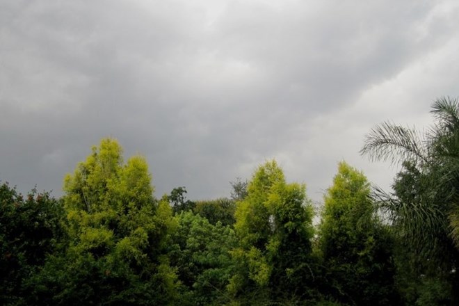 V zahodni in južni Sloveniji nevihte s krajevno močnejšimi nalivi