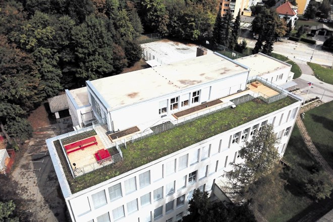 Zelena streha na kranjski osnovni šoli Staneta Žagarja se razprostira na 360 kvadratnih metrih. Z različnimi oblikami zelenja...