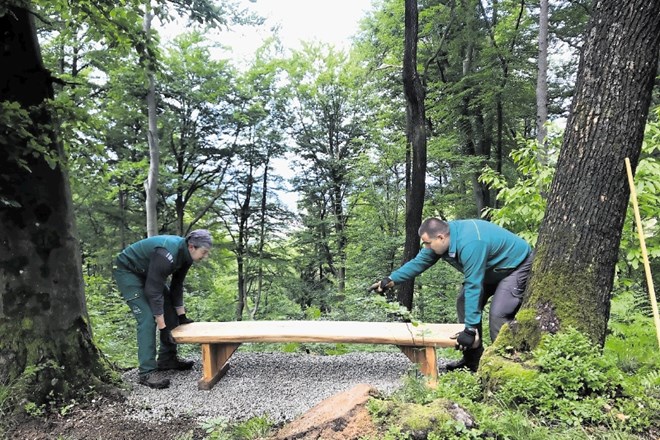 Lansko poletje so na območju Golovca v sodelovanju z družbo Slovenski državni gozdovi postavili nove klopi, letos so na...