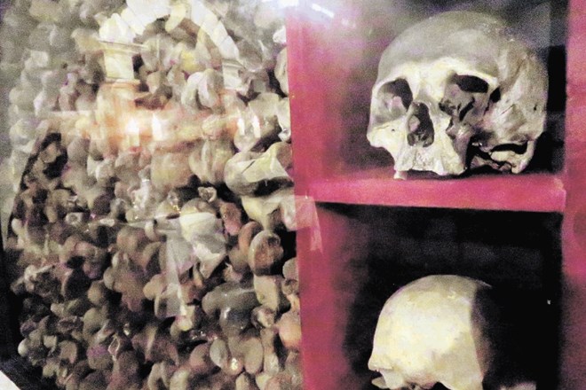 Posmrtne ostanke neidentificiranih oseb so zložili v novo zastekljeno kostnico po vzoru švicarskih katakomb.