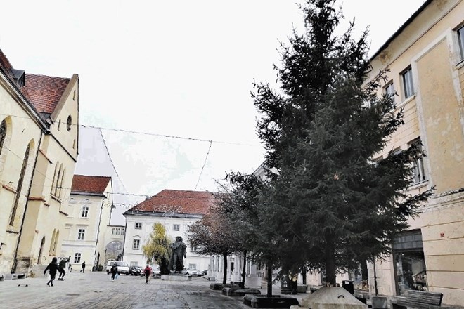 Iz Besnice je smreka, ki so jo postavili pred Prešernovo gledališče v Kranju. Na občini pa lastnike gozdov že zdaj pozivajo,...