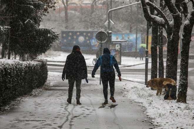 Prvi sneg v Ljubljani.