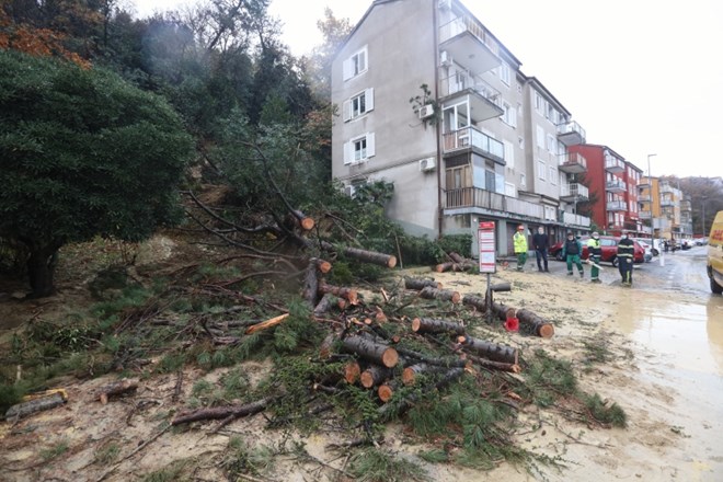 Koprski gasilci so zaradi nočnega plazu med dvema blokoma danes iz enega evakuirali vse stanovalce.