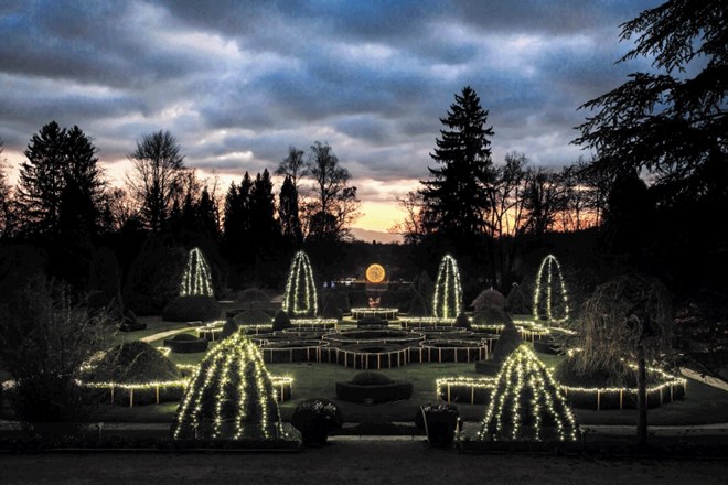Veseli december: Več tisoč lučk vabi v Arboretum