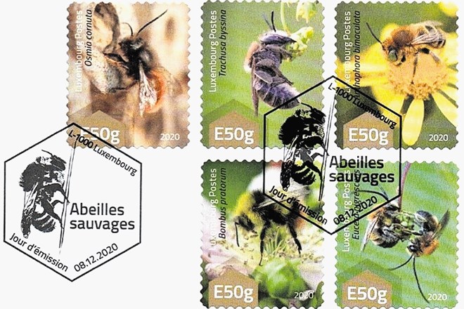 Med pomembne opraševalke spadajo tudi divje čebele, znoske; v Luksemburgu jih poznajo 350, v Sloveniji več kot 570 vrst.
