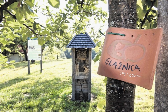 Kozjanski park, dom redkih živalskih in rastlinskih vrst