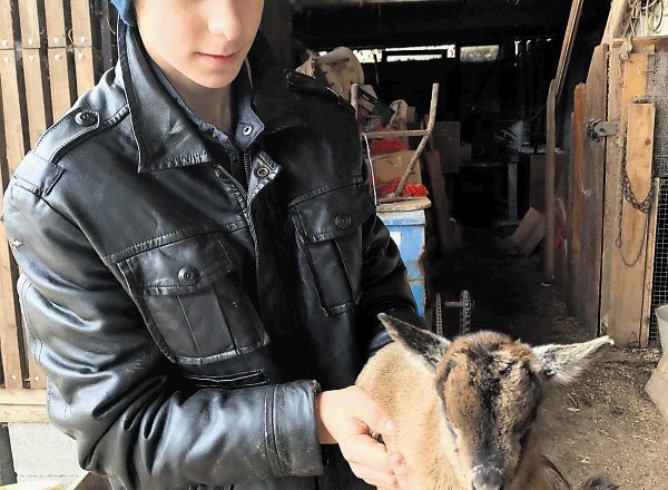 Petnajstletni Jože rad in vdano skrbi za živali.