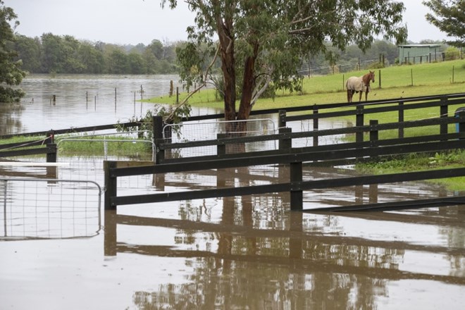 #foto Zaradi poplav evakuirali dele avstralskega Sydneyja