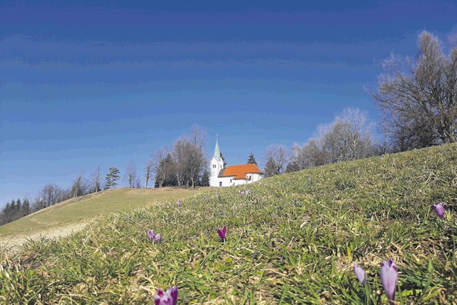 Pomladno vzdušje 858 metrov visokega Osovnika, od koder je čudovit razgled na Polhograjsko hribovje in del...