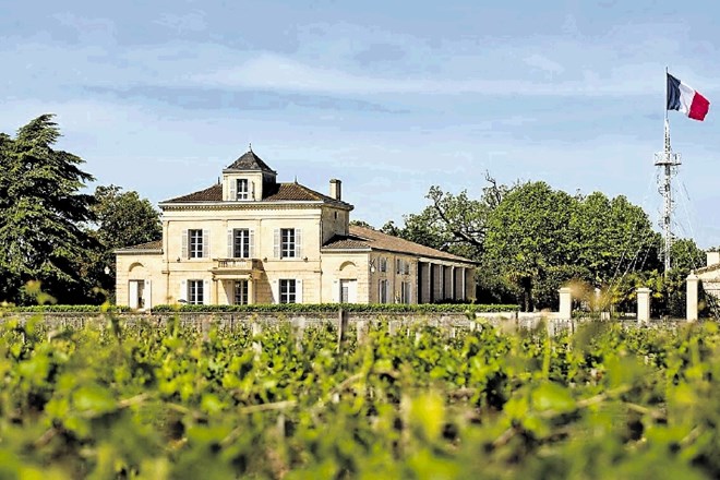 Deset vin Spurrierjeve »pariške sodbe«