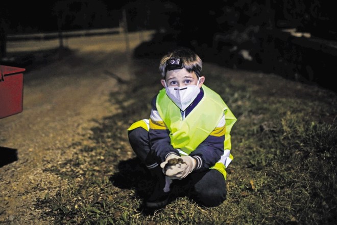 Sedemletni Bor se je o življenju žab veliko več kot v šoli naučil na  terenu.