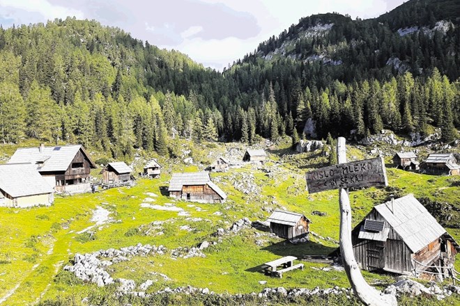 V Sloveniji se z znakom Slovenia Green ponaša 61 ponudnikov nastanitev, 57 destinacij, štirje parki (med njimi tudi...