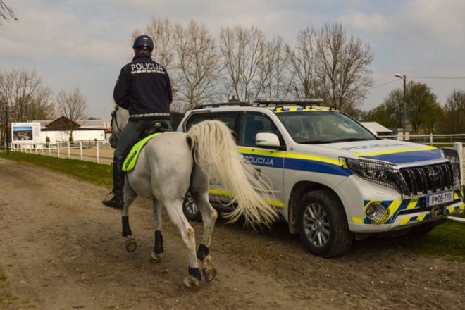 Reportaža: »Delo policista konjenika je kompleksno.«