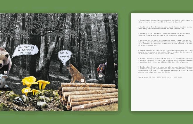 Polonca Lovšin: Zaradi dreves ne vidijo gozda