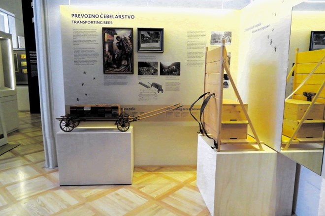 Obiskovalci prenovljenega Čebelarskega muzeja v Radovljici si lahko oprtajo kranjič, leseni panj, s katerim se je pri nas do...