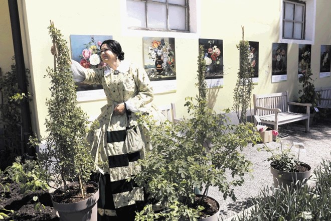 Rdeča nit evropskega projekta Cvetlična kultura podeželja so cvetlični motivi s slik Marije Auersperg Attems, ki je slikala...