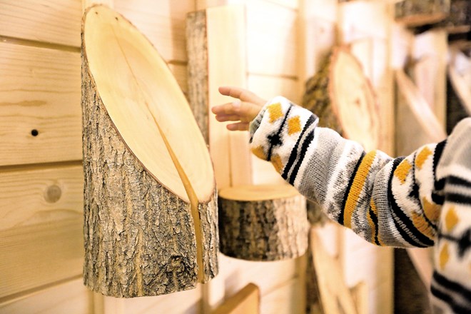 V drevesnici je trenutno predstavljenih 50 vrst lesa.