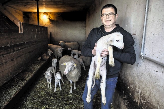 Mojmir Dimec:  Če bi bil sam s svojim mlekom in mlečnimi izdelki prisoten pri veletrgovcih, bi ovčje mleko vsekakor oglaševal...