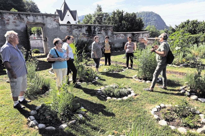 Samostanski vrt bo služil tudi kot učno središče, kjer se bodo obiskovalci lahko naučili  marsikaj koristnega o rastlinah, ki...