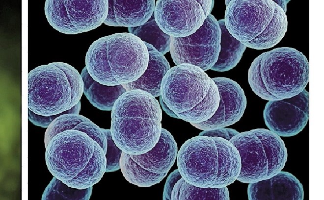 JUPOL Antimicrob: aktivna barva za notranje prostore