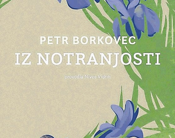 Petr Borkovec: Iz notranjosti (Beletrina, 2021)