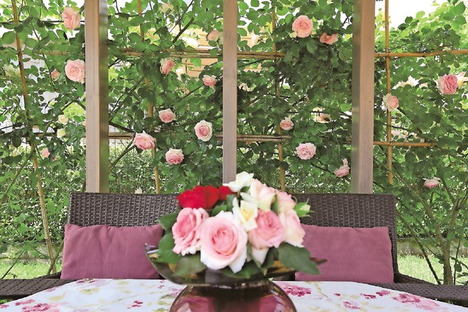 Preobrazba zunanje ureditve: rozarij ali vrt vrtnic  