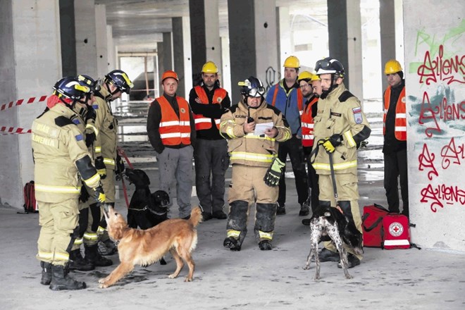 Psi so nepogrešljivi v reševalnih akcijah, ker najhitreje locirajo poškodovane ali izgubljene osebe.