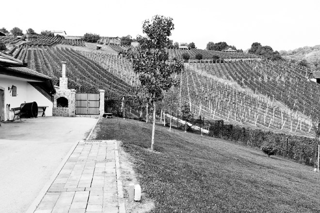 Prej in pozneje: struktura zunanjih okvirjev povzema značilnosti vinogradniških lop Sotelske doline.
