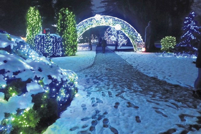 Snežna kulisa parka je poskrbela za dodatno čarobnost Božične bajke.