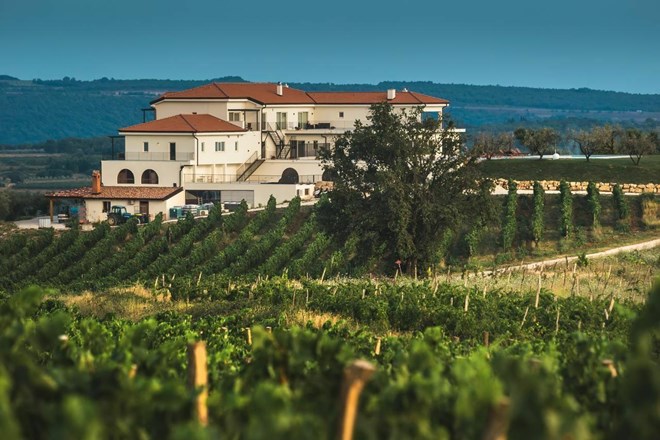 V Izoli več kot 60 pridelovalcev oranžnih vin