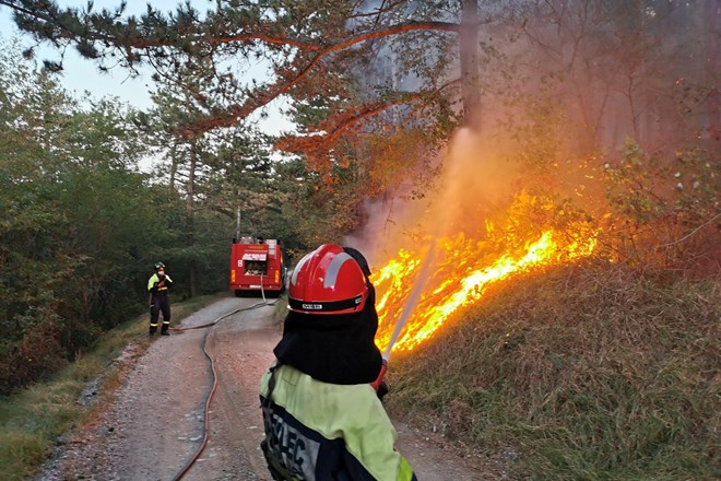 #foto Požar na Krasu pod nadzorom, na požarišču še vedno več kot 400 gasilcev