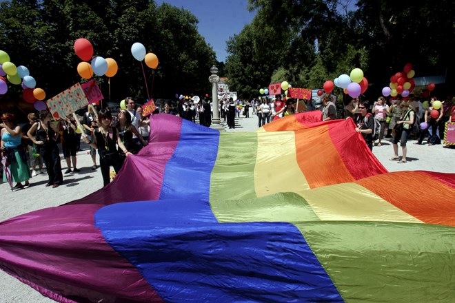 DZ uzakonil pravico istospolnih do posvojitve otrok
