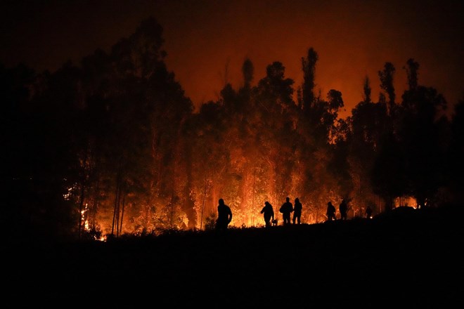 Gozdni požari v Čilu zahtevali več kot 20 smrtnih žrtev