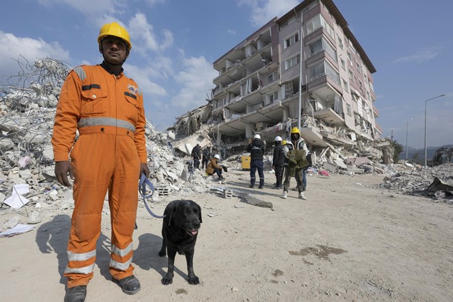 #foto #video V potresu najmanj 33 tisoč mrtvih; aretirali več projektantov porušenih zgradb