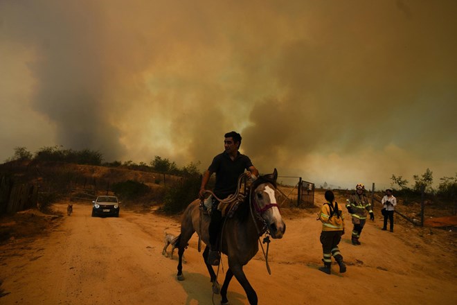 #foto #video V gozdnih požarih v Čilu najmanj 46 mrtvih, okoli 200 ljudi še pogrešajo