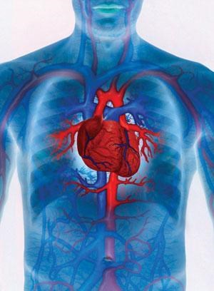 Vpliv stresa na zdravje srca in ožilja: močan, a ne edini dejavnik