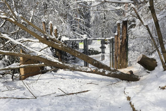 Vreme: ponekod sneg tudi do nižin, na Primorskem lahko zapiha močna burja