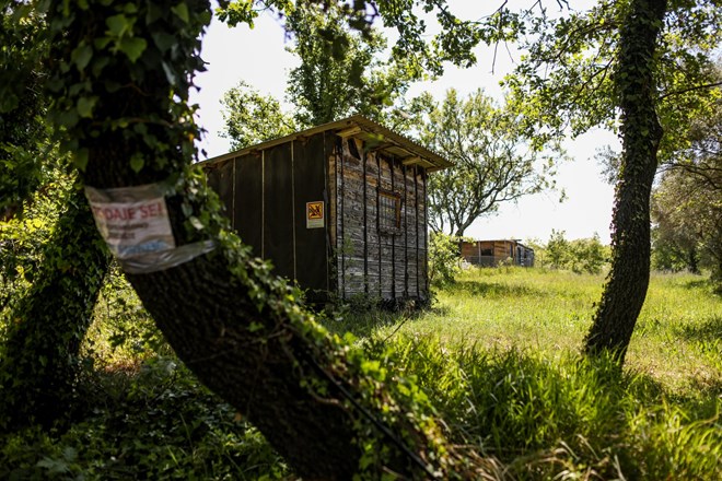 #reportaža Slovenski počitnikarji o istrskih favelah: Tukaj smo že 50 let, zdaj pa nas preganjajo
