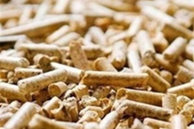 Ogrevanje na biomaso je trikrat cenejše od klasičnega 