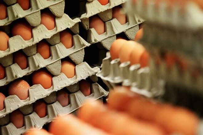 Doslej so povišane vsebnosti dioksina v živilih odkrili na nekaj manj kot desetih farmah. Gre za jajca, ki so jih tudi...