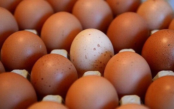 Več kot četrtina pregledanih jajc v Nemčiji je okužena z dioksinom.