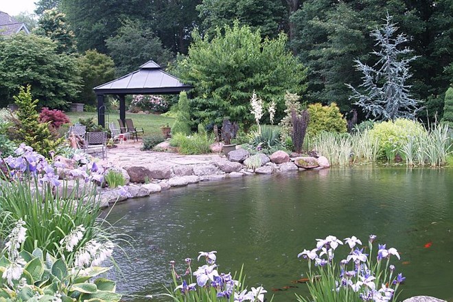 Naravni bazeni so prave vodne oaze, ki se čistijo same