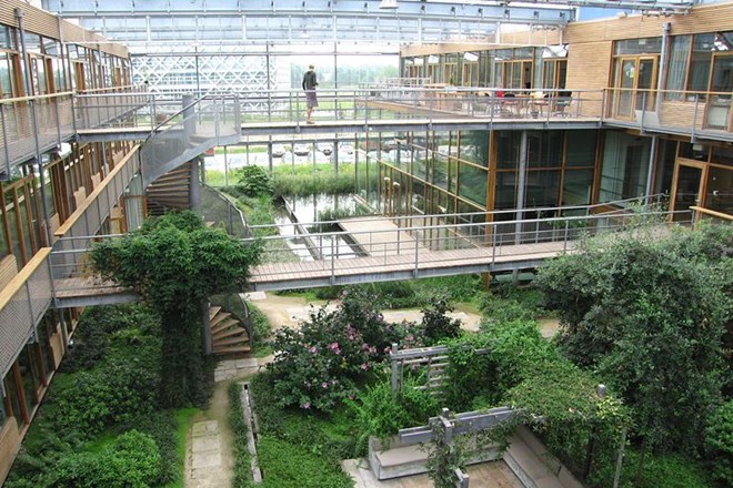 Vrt na strehi nizozemske univerze proizvaja elektriko