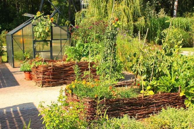 Permakultura za okolju prijazno in zdravo vrtnarjenje