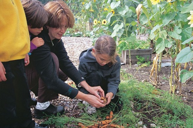 Otroci naj sodelujejo pri obdelovanju zelenjavnega vrta