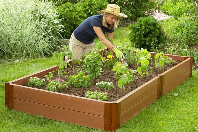 Kako skrbeti za svoj vrt tudi med hudo poletno vročino